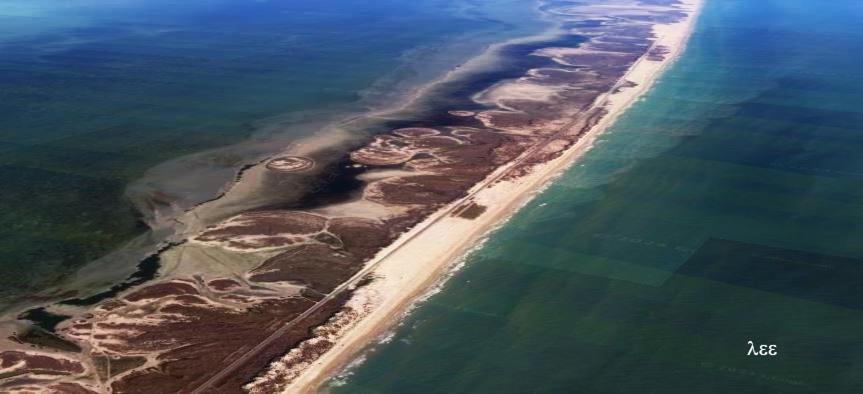 סאות' פאדרה איילנד South Padre Stayz מראה חיצוני תמונה