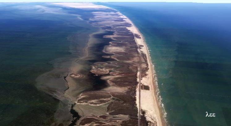 סאות' פאדרה איילנד South Padre Stayz מראה חיצוני תמונה